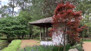 Japanese Garden Tour